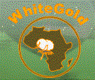 logo-bar